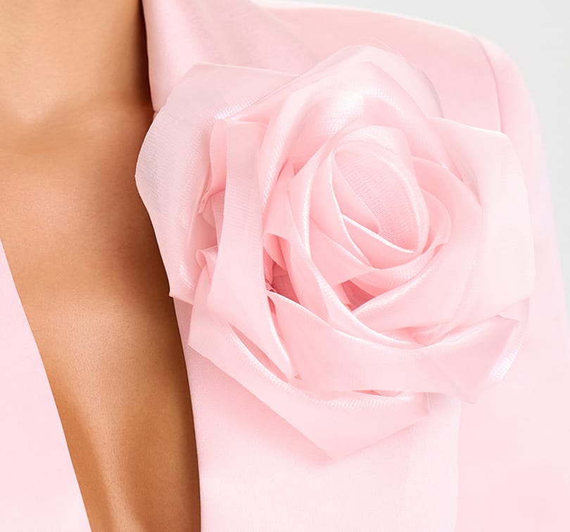 Close-up of a pink rose with a blurred background