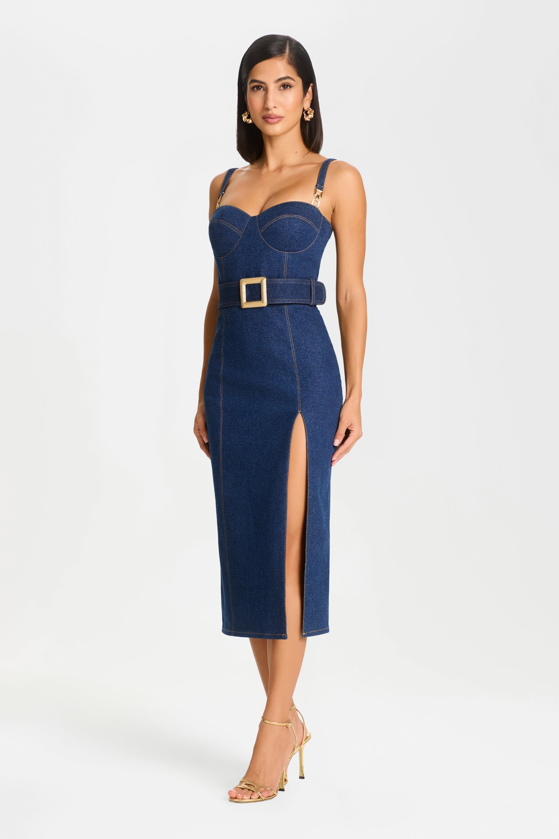 Nadine Merabi Jenna Denim Dress 14